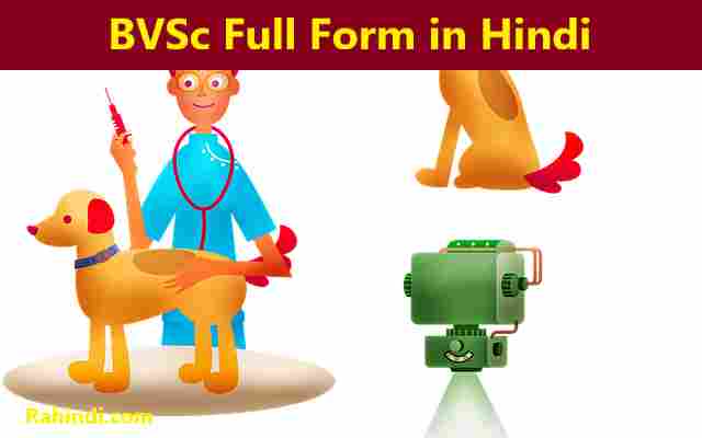 BVSc Kaise kare